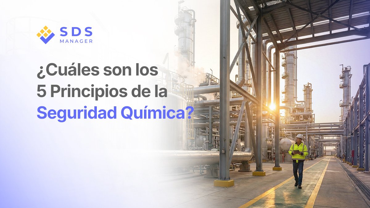¿Cuáles son los 5 Principios de la Seguridad Química?