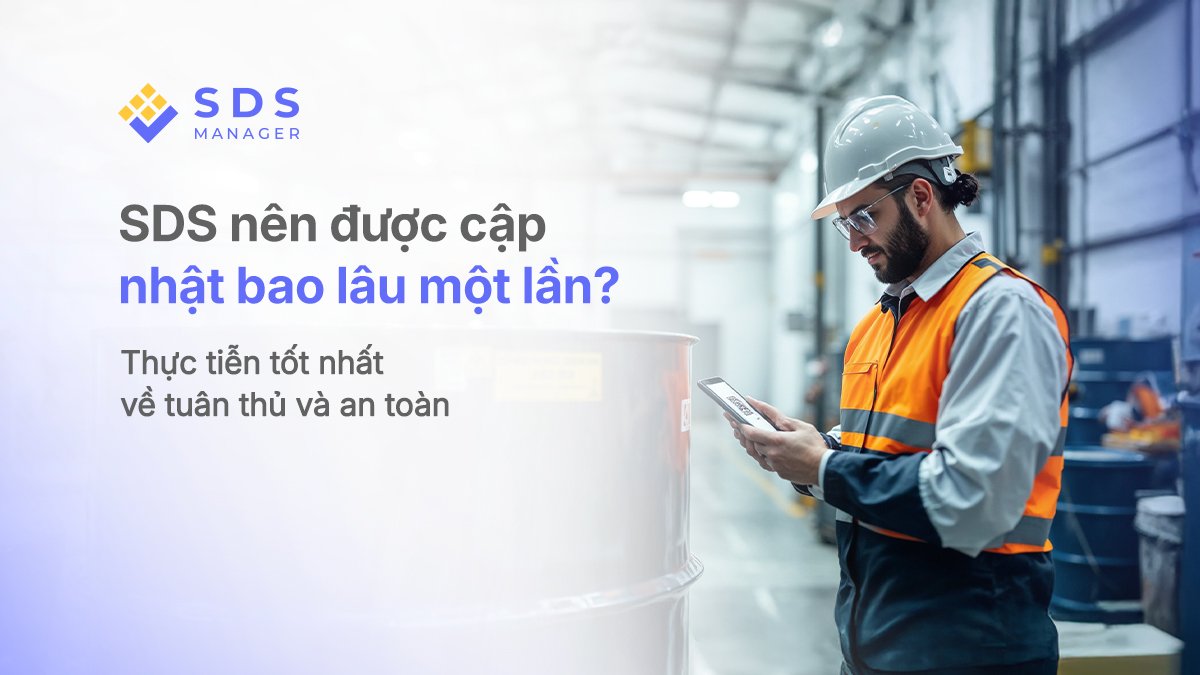 SDS nên được cập nhật bao lâu một lần? Thực tiễn tốt nhất về tuân thủ và an toàn
