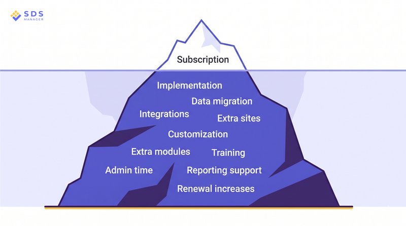 cost of ehs software beyond subscription
