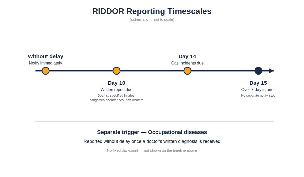riddor-timescales-timeline-v3